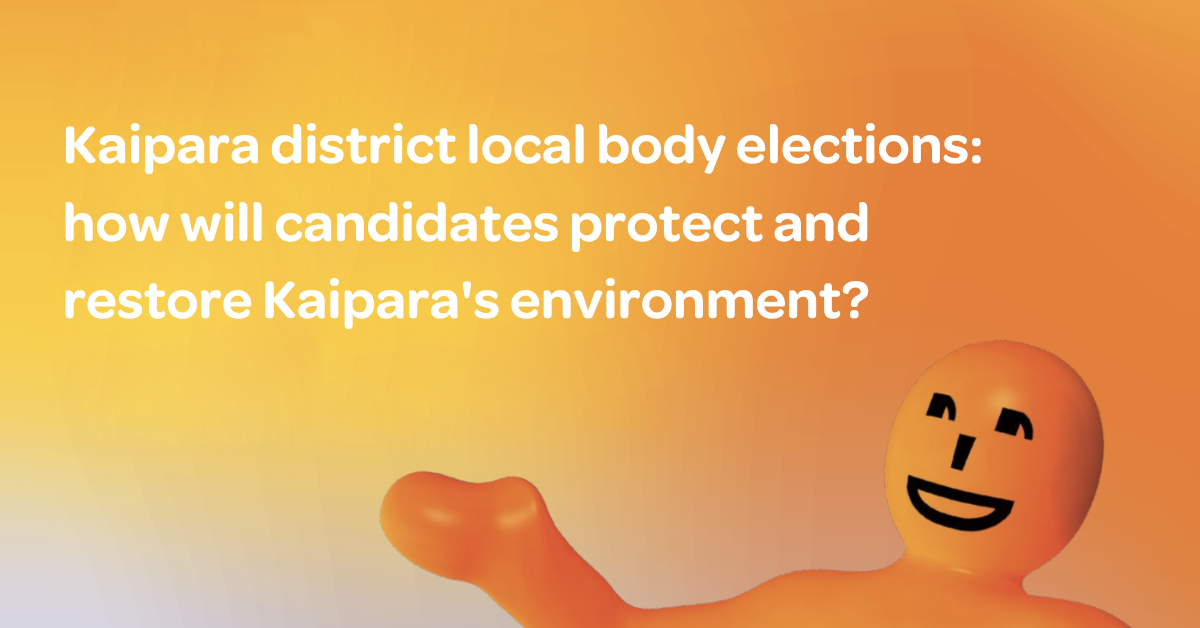 Kaipara district local body elections: how will candidates protect and restore Kaipara’s environment?