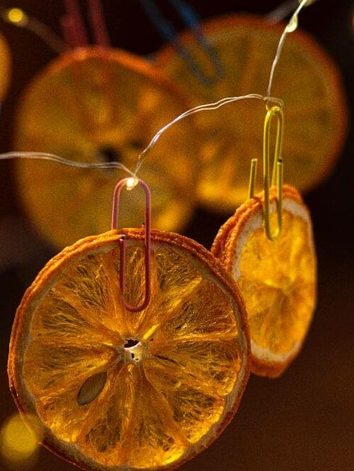 Dried citrus slices hanging from christmas lights with paper clips