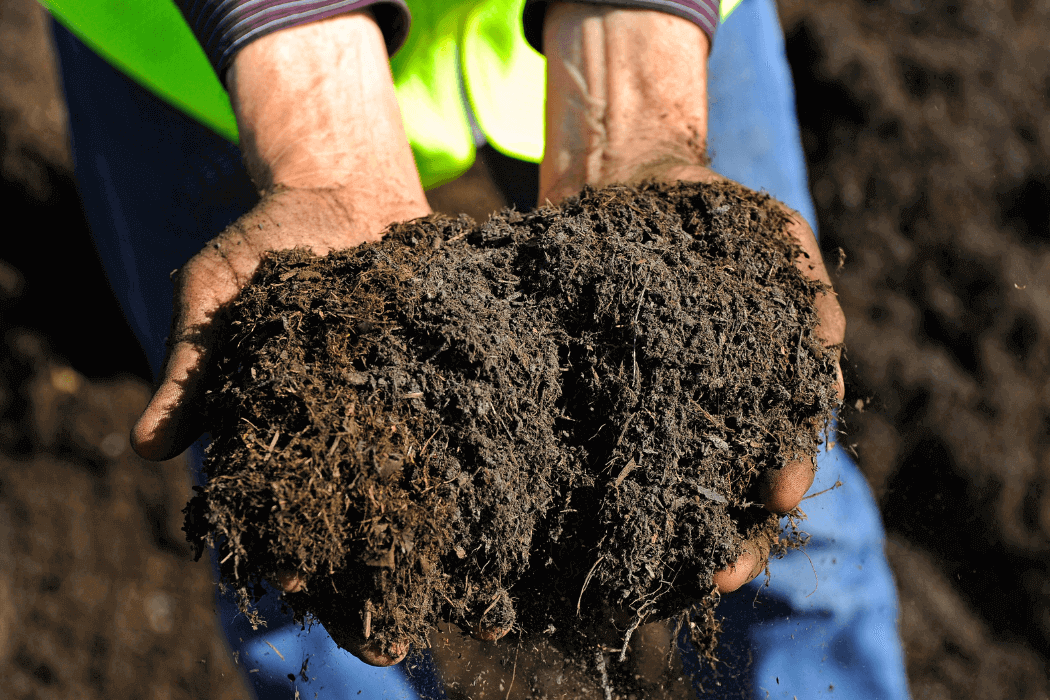 A closeup of hands holding a handful of compost
